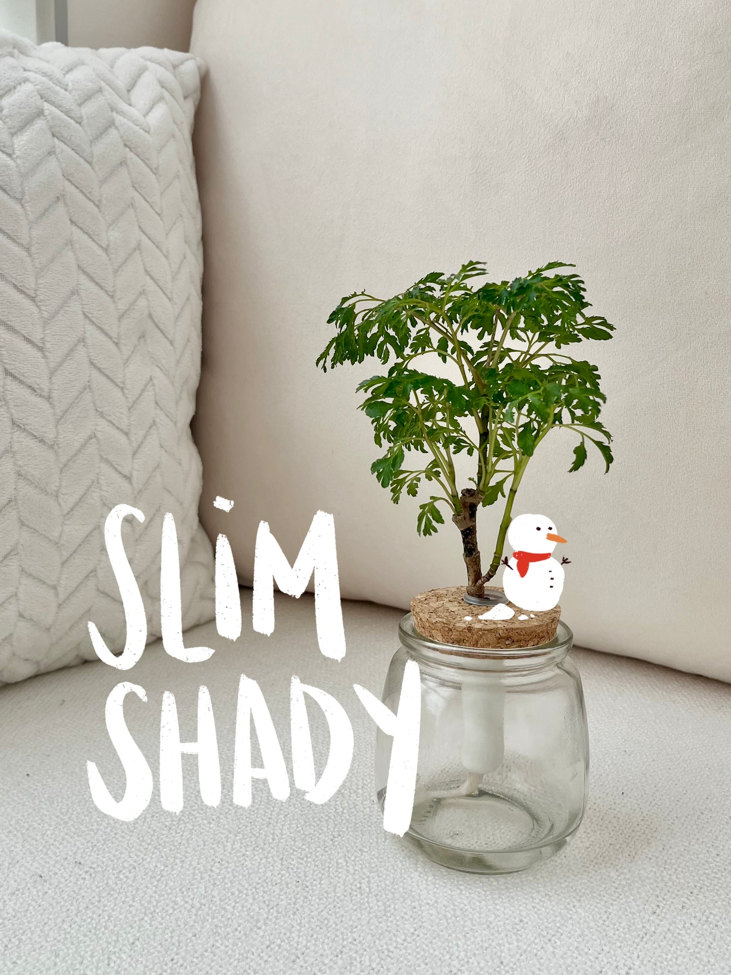 Slim Shady