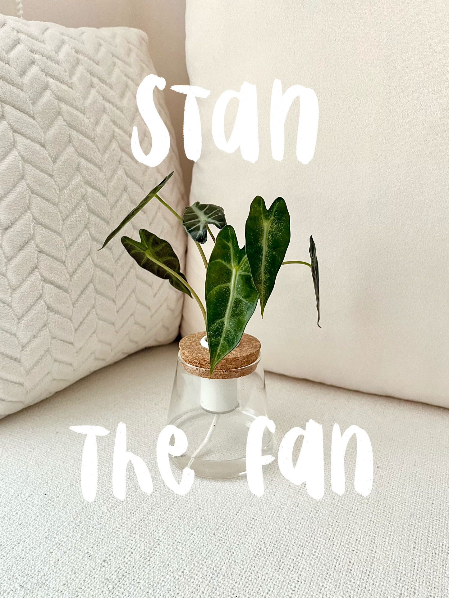 Stan the Fan