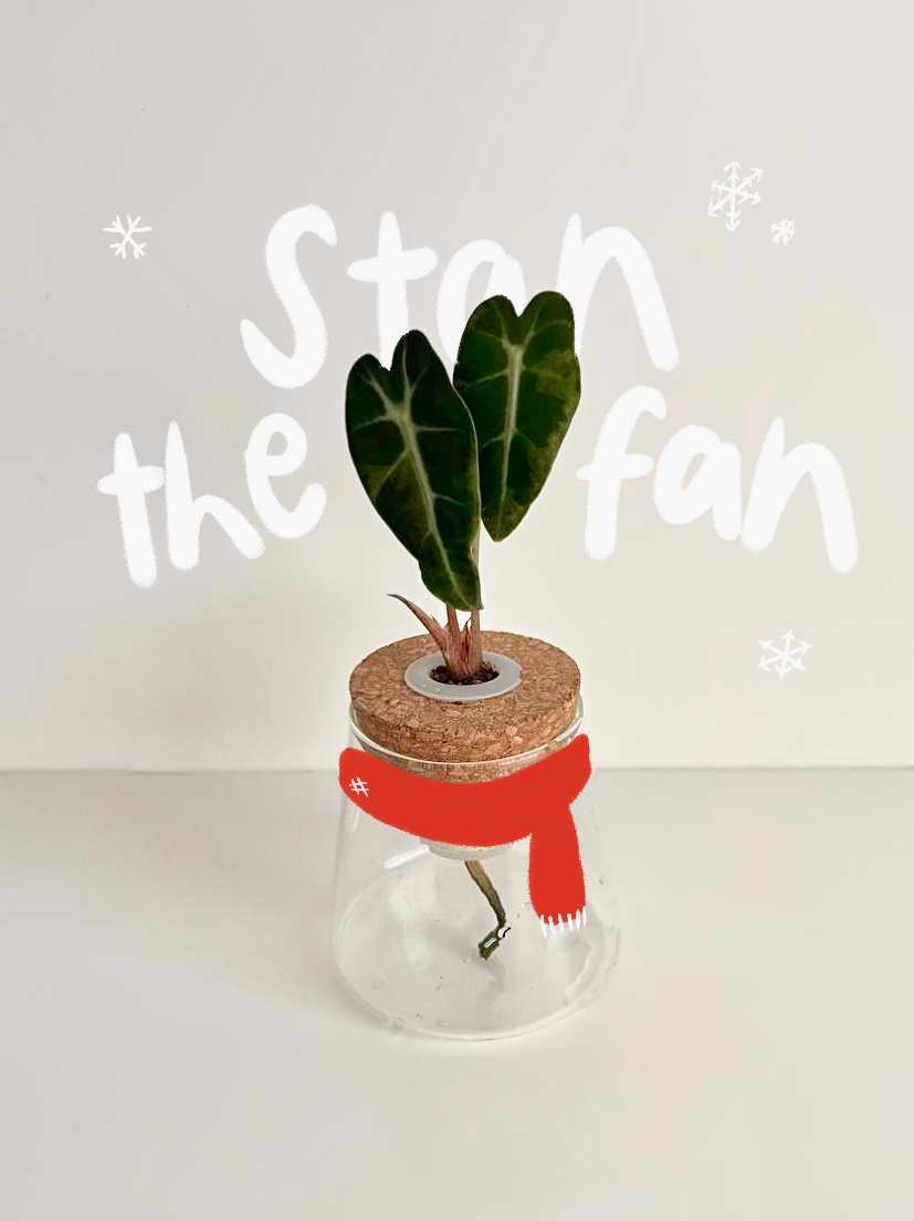 Stan the Fan