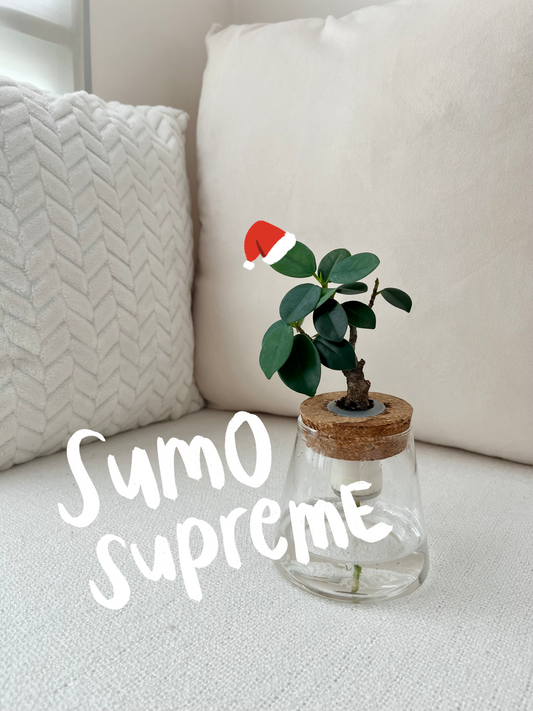 Sumo Supreme