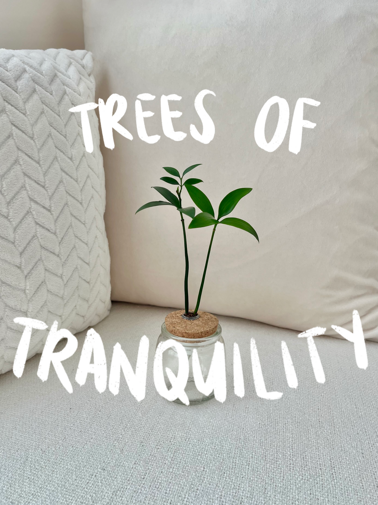 Trees of Tranquility