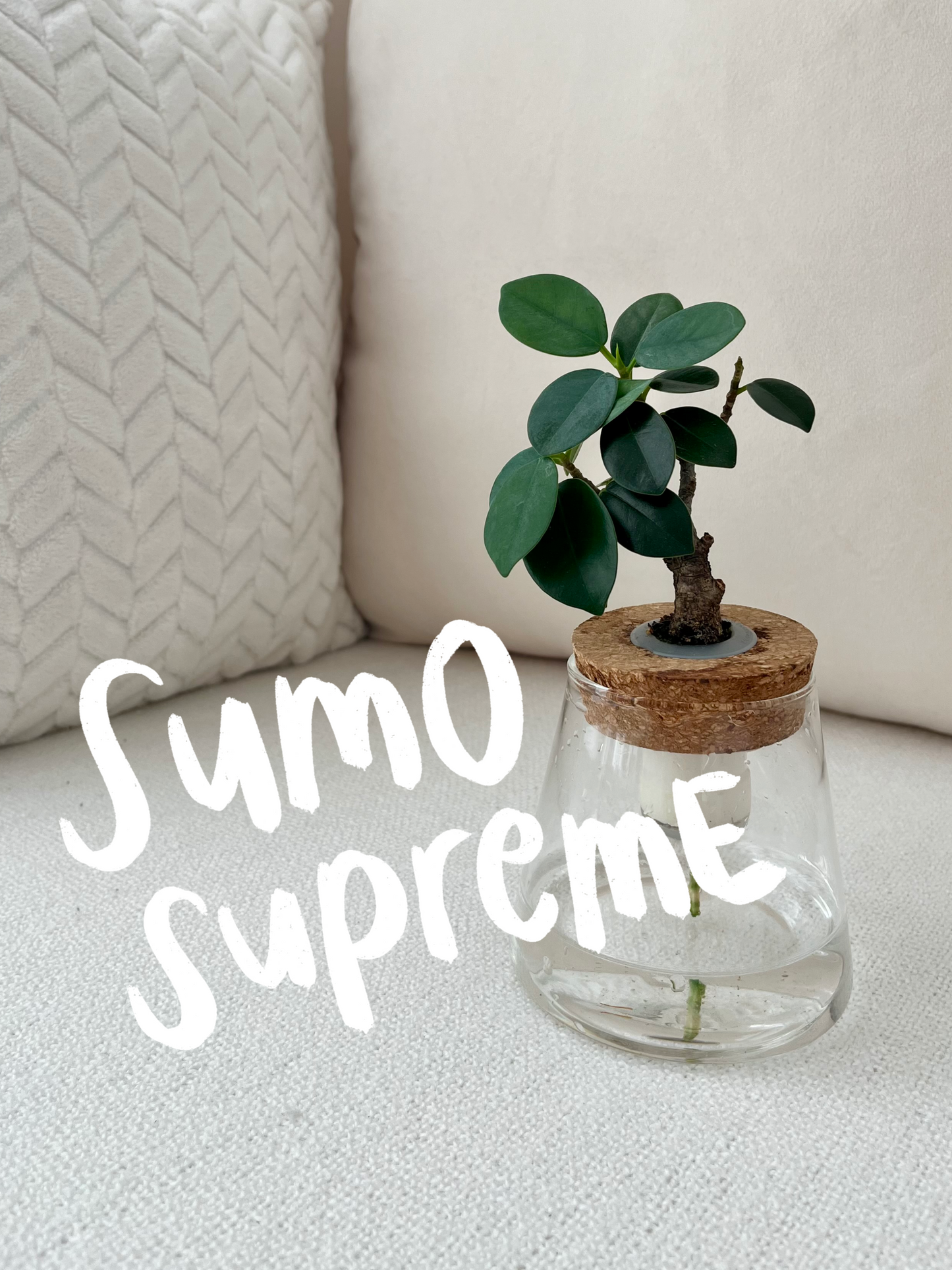 Sumo Supreme