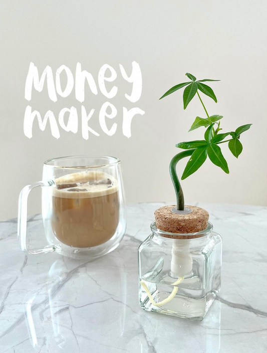 Money Maker